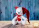 Мягкая игрушка Рождественский медвежонок 206438476 фото 1