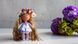 Лялька Міртл. Колекція Flower doll 227919402 фото 3