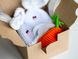 Пасхальный набор. Пасхальный декор для яиц Кролики и морковка 231574235 фото 5